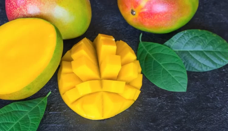 ovocie mango
