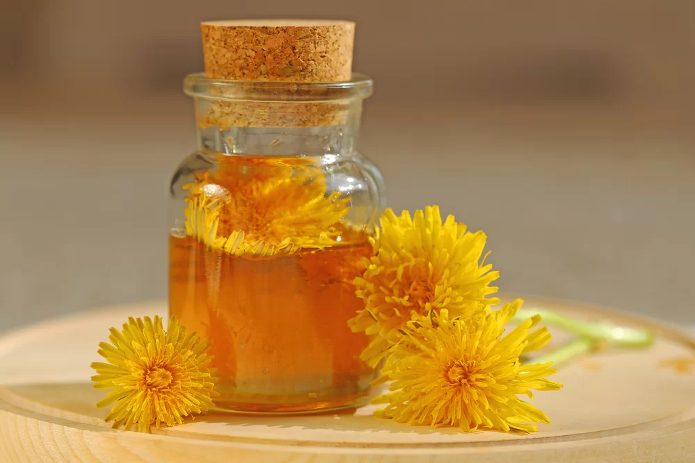 recept na výborný púpavový med