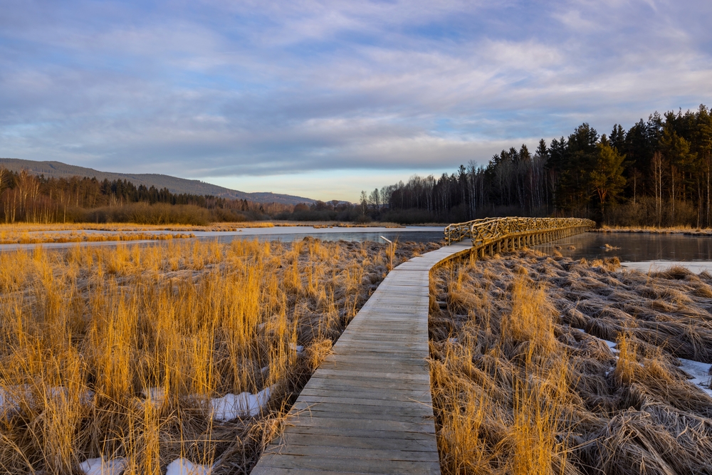 prírodná rezervácia Olšina